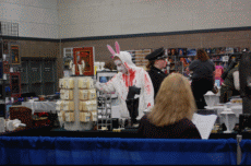 ValleyCon 37 - 2011